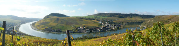 Wine tasting in Machtum