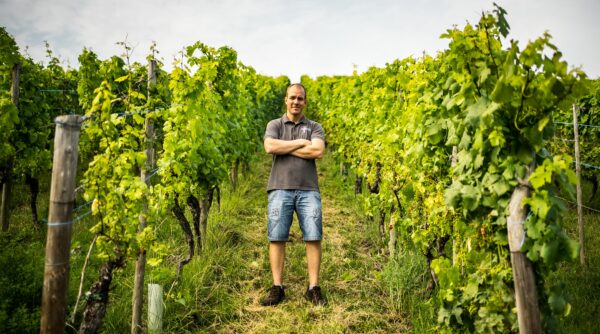 SCHLINK domaine viticole