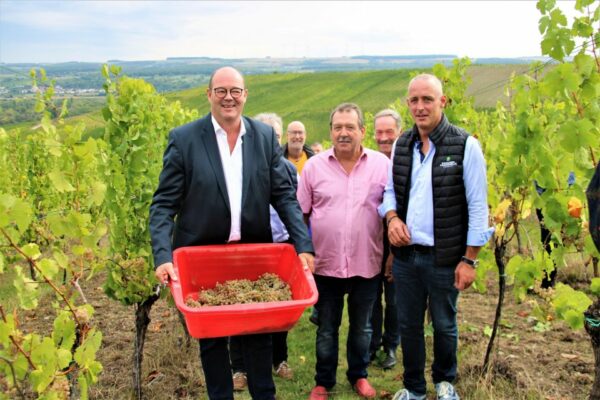 The Minister visits the grape harvest