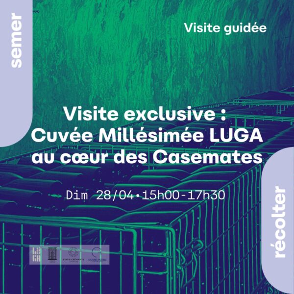 Visite of the casemates – Cuvée LUGA