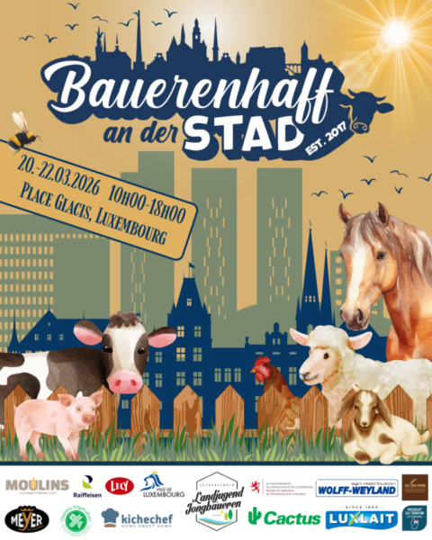 Bauerenhaff an der Stad